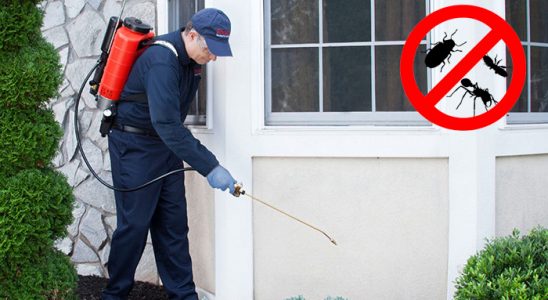 Doğanlar Akrep İlaçlama böcek ilaçlama ve haşere kontrolü — ilaclama-tr.com